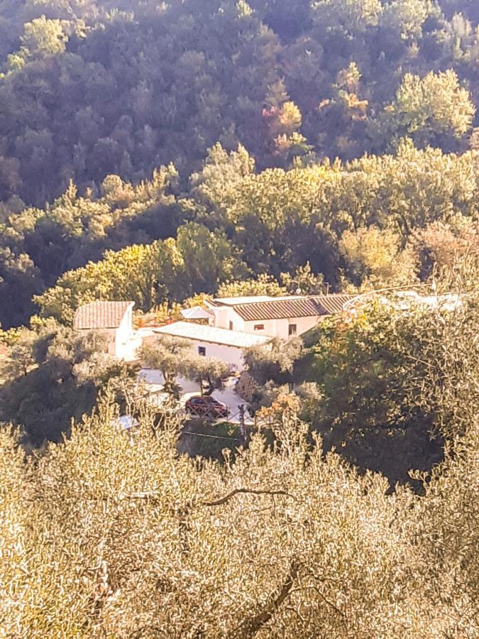 La Dimora Degli Angeli Bed and Breakfast Perugia Exteriör bild